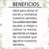Laferv Aceite Masaje Relax Eucalipto Spearmint 4 Litros Tamaño Spa