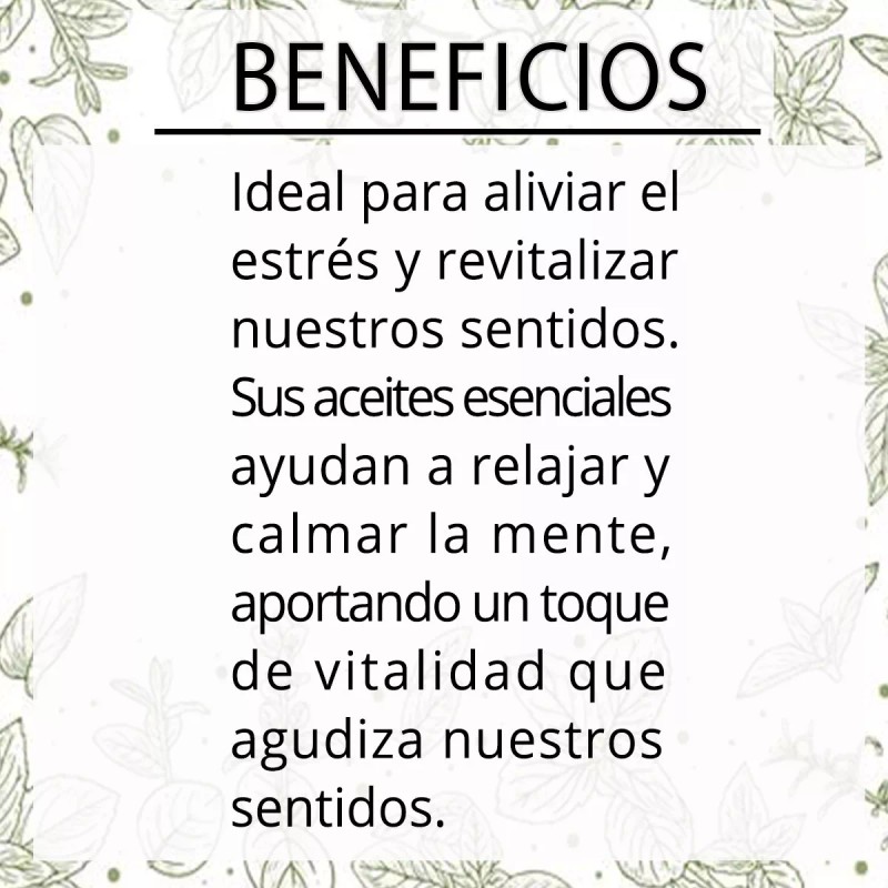 Laferv Aceite Masaje Relax Eucalipto Spearmint 4 Litros Tamaño Spa