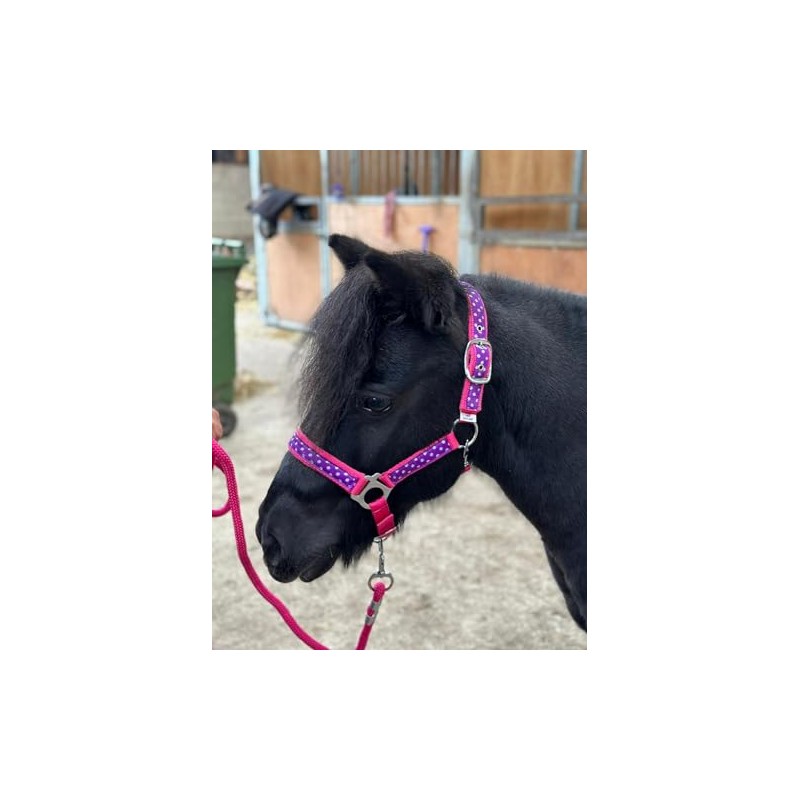 POLKA DOT HEADCOLLAR WITH LEAD ROPE FULL-MINI SHETLAND (Raspberry, Pony)