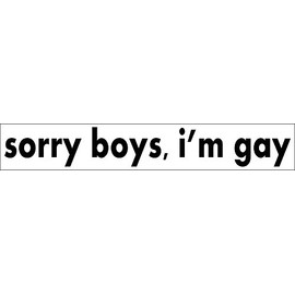 sorry boys i'm gay STICKER DECAL VINYL BUMPER Pride Prank Joke Funny DÉCOR CAR TRUCK LOCKER WINDOW WALL NOTEBOOK