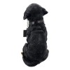 Treasure Co Trio Rottweiler Welcome Statue 6 in Resin Guard
