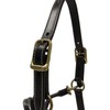Huntley Equestrian Fancy Stitched Adjustable Premium Leather Pony Halter with