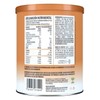 Suplemento Alimenticio Birdman Creatine Refresher Golden Peach 300gr