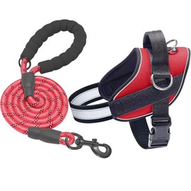 Haapaw Essential Dog Harness, No Pull Pet Vest with 3 Leash Clips, No Choke, Reflective, Adjustable and Padded, for Easy Walking and Training for Small Dogs(S, Red)
