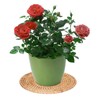Round Woven Placemats, Natural Rattan Braid Table Mats, Hot Insulation