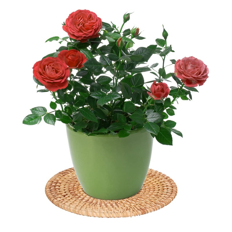 Round Woven Placemats, Natural Rattan Braid Table Mats, Hot Insulation
