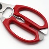 Kiya Kitchen Scissors, Nocturne, Cooking Scissors, Made in Japan (Red)