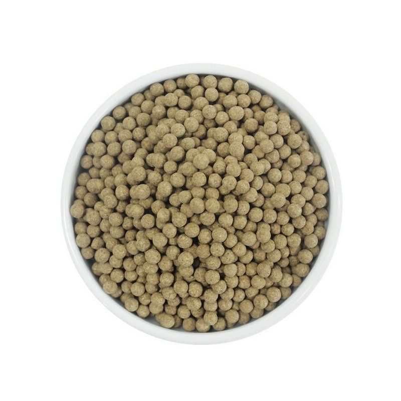함초환 퉁퉁마디환 140g 국산 국내산 Hamcho Pill for Joint Care