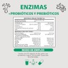 Enzimas Digestivas Probióticos Contiene 7 Enzimas Digestivas Probióticos Lactobacillus acidophilus