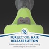 Furminator FURminator Long Hair deShedding Tool for Dogs (Small)