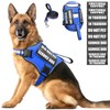Service Dog Harness and Leash Set, Training Dog Vest with