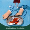 Ultrassist Pediatric IV Practice Kit, Baby Intravenous Injection Training Kit