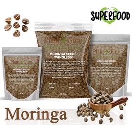 Moringa Seeds Wingless 3 lbs. - PKM1 Variety - Edible Snacking - Planting - Moringa Oleifera - Malunggay - Semillas De Moringa - Drumstick Tree - Non-GMO - 4800 to 6000 Seeds