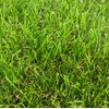 Artificial Turf, Realistic Type, Set of 10, 11.8 x 11.8