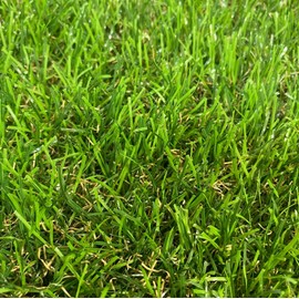 Artificial Turf, Realistic Type, Set of 10, 11.8 x 11.8 inches (30 x 30 cm)