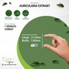 Fairvital Auricularia Extract 500 mg - High Dose - Judas
