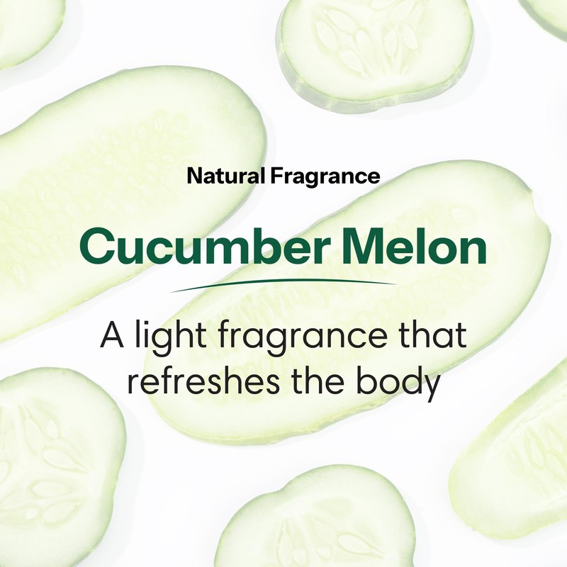 ShiKai Daily Moisturizing Shower Gel (Cucumber Melon, 12 oz) |
