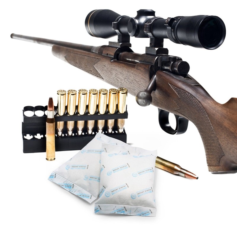 Wisesorb 100 Gram 6 Packs Silica Gel Packets Dessicant for