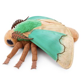 BABY FRANKIEZHOU Parasa Consocia Plush Toy,Green Moth Stuffed Animal, Green Moth Plush ，Moth Plushies ，Unique Gift for Kids，Friends，Home Decor