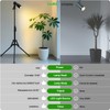 XINCLING 10W Spot Lights Indoor, 22-63.5” Adjustable Tripod & E26