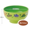 Skater N6 Painted Soup Bowl Dinosaurus