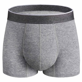 REELINDRY Mens Incontinence Underwear Washable, 2.3 oz Absorbent Leak Proof Reusable Boxer Briefs for Bladder Control 1 Pack(Gray, 3X)