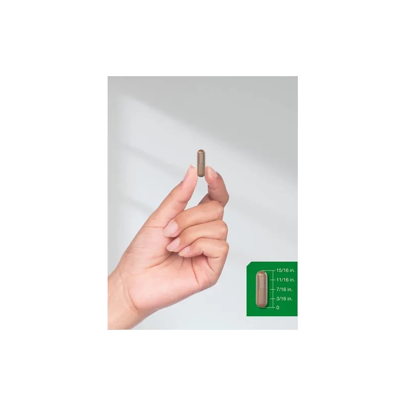 Extracto de Hongo Melena de León 4200 mg Lions Mane
