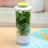 TechTack Herb Keeper and Herb Saver – Premium Borosilicate Glass