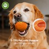 Interactive Dog Toys Balls Moving - Smart Automatic Bouncing Interactive