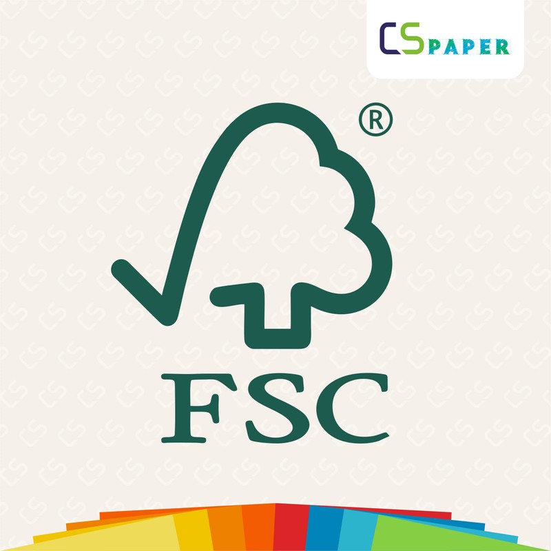 Made in EU 50 Sheets White A4 80 g/m² CS