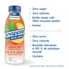 Snapple Peach Tea, 16 oz., 12/Pack (10099485)