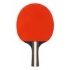 REGAIL Ping Pong Paddle Set Portable Table Tennis Set With
