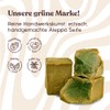Green Fadel Aleppo Soap - Elegant - 20% Laurel Oil,