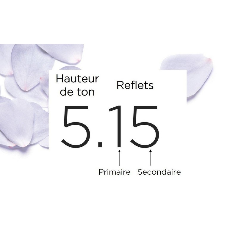 L'Oréal Paris Excellence Haarfarbe Kastanienbraun Dreifachpflege