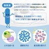 Lactic Acid Bacteria Premium (2.7 Billion Types of Raw Lactobacillus