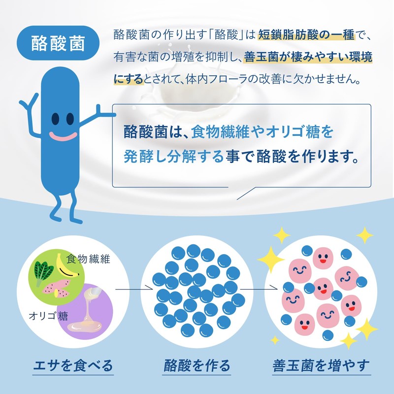 Lactic Acid Bacteria Premium (2.7 Billion Types of Raw Lactobacillus