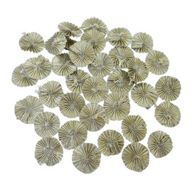 Embroiderymaterial Gota Patti Flowers Appliques Patches for Embroidery Decoration and Craft Making(Silver 100 Pieces)
