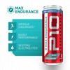 P10 Performance Max Endurance Sugar-Free Drink - Blue Raspberry (12