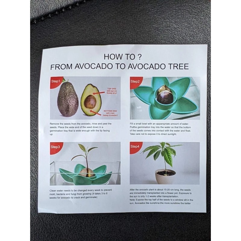 AvoSeedo Avocado Tree Growing Kit with seed pod base and