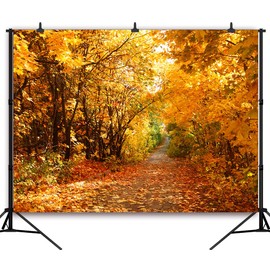 DULUDA 7x5 FT Fall Leaves Forest Autumn Backdrop Wedding Party Park Bridal Shower Theme Background for Photography YouTube Outdoor Travel Family Birthday Photo Props, Clear