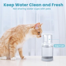 Wikapy Bedside Water Carafe and Glass Set With Silicone Coaster for Nightstand, Bedroom, 18 OZ Clear Mouthwash Dispenser for Bathroom