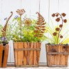12 Pack Rusty Metal Garden Stakes, Rustic Metal Fern Leaf