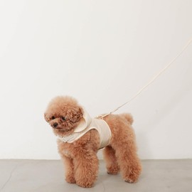 Monchéri Monchéri Dog Harness, Hooded Border Harness + Lead SET, Beige/M, Cute, Stylish, Popular, Brand, Toy Poodle, Chihuahua, Small Dogs, Medium Dogs