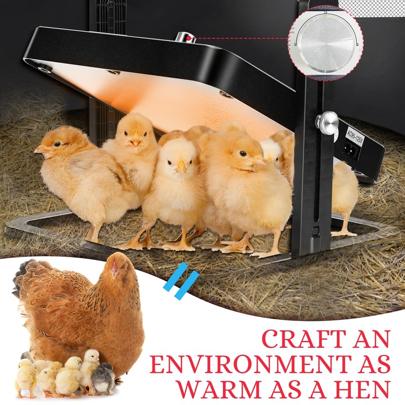 Brooder Box for Chicks - Complete Chicken Brooder Kit with