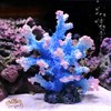 Besimple Aquarium Coral Ornament, Polyresin Coral Decor for Fish Tank
