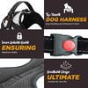 Trimming Shop No Pull Dog Harness & Lead Set for