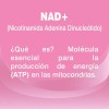 Nad / Resveratrol / Magnesio Marino