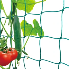 Ranknetz für Kletterpflanzen, Gurkennetz 5X1.8M, Pflanzennetze Kletternetz, Hochbeet Rank Netz Kletterhilfe, Rankgitter für Garten Gurken Kletterpflanzen Bohnen Tomaten-Grün (1.8X 1.8m)
