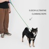 Slip Lead Dog Leash, 5 FT Dog Training Leash with