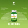 Aceite De Orégano, 100 Cápsulas, Calidad Premium
